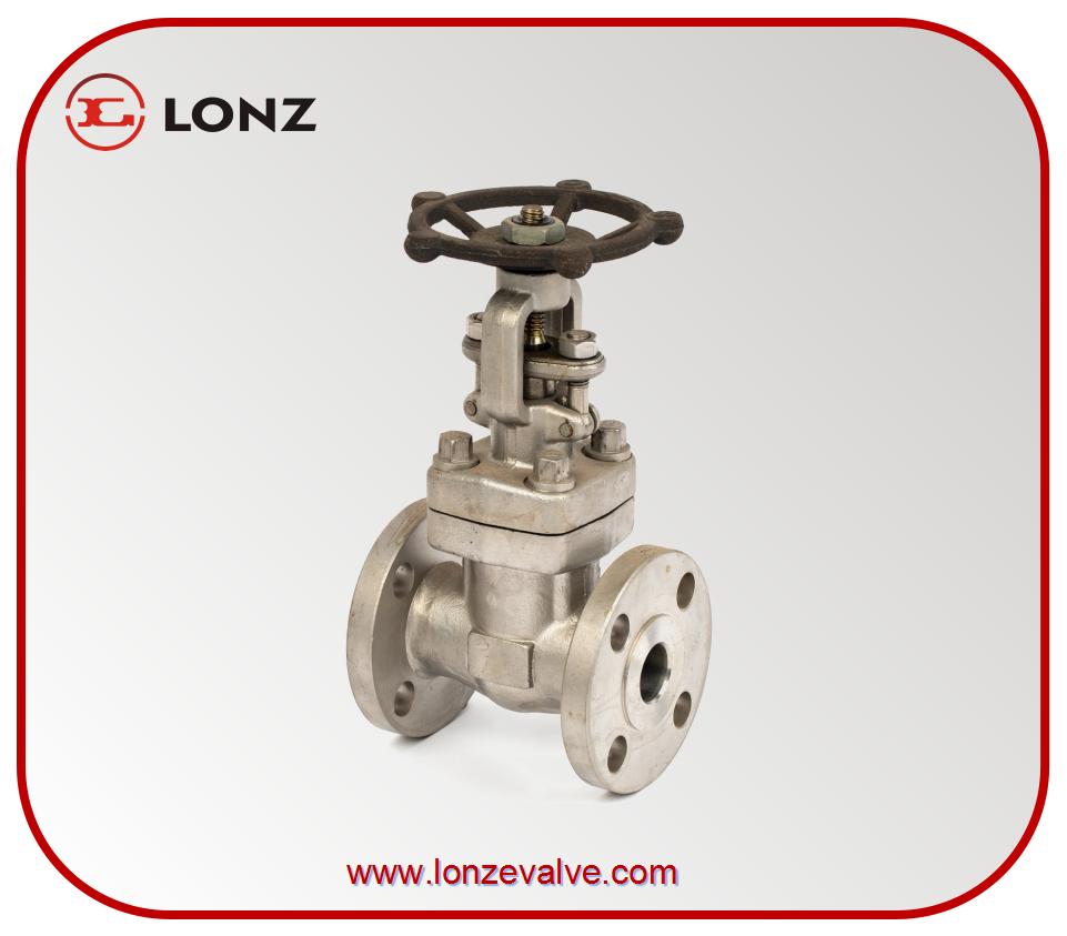 stainless steel flange gate valves